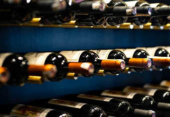 Bouteilles de vin premium exposées dans une élégante cave à vin avec des racks de rangement organisés.